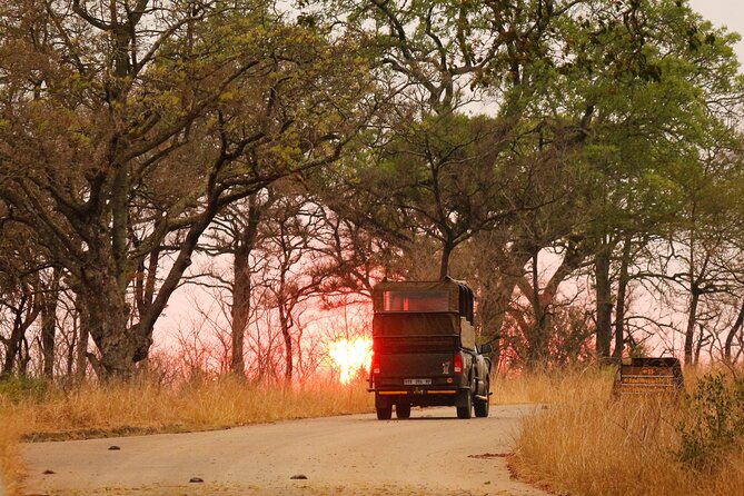 Kruger National Park sunrise Morning Private safari - Who should book this Kruger morning safari?