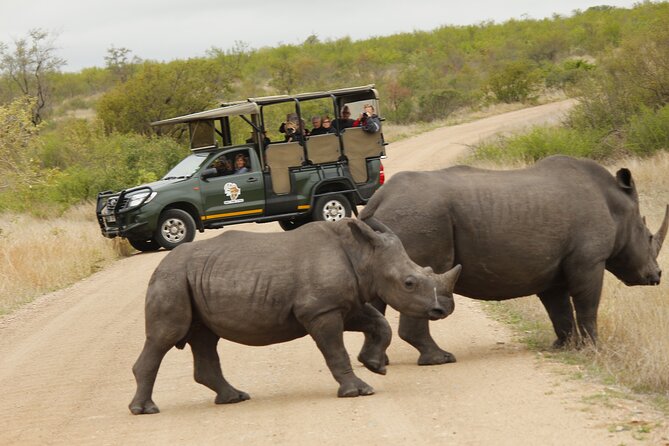 Kruger National Park sunrise Morning Private safari - Practical details before you go