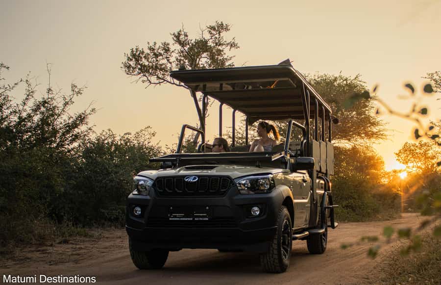 Kruger Park Full Day Safari From Hoedspruit - What the open safari vehicle changes