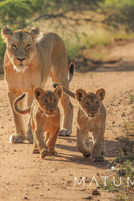 Kruger Park Full Day Safari From Hoedspruit - The 45-minute road into the park