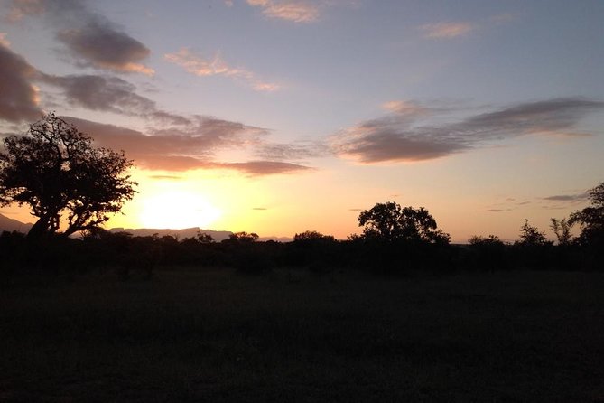 Kruger Park Safari: Guided Day Tour from Nelspruit - Weather, comfort, and the limits of a day safari
