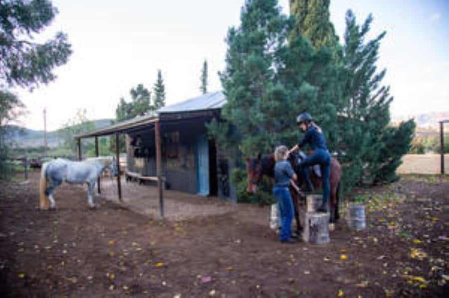 Kudu Trail Horse Riding Experience - Riding into the Klein Karoo from Doornkraal farm