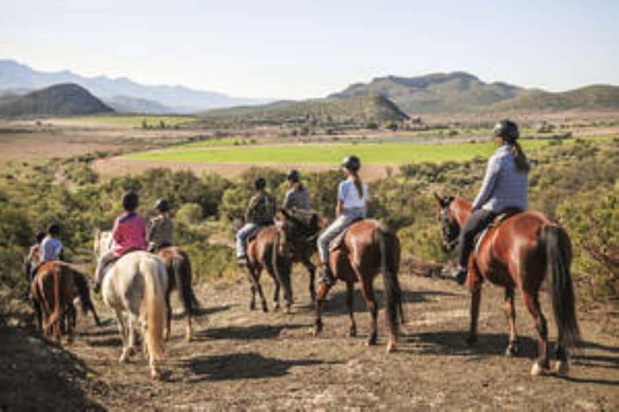 Kudu Trail Horse Riding Experience - Why the horses matter to beginners