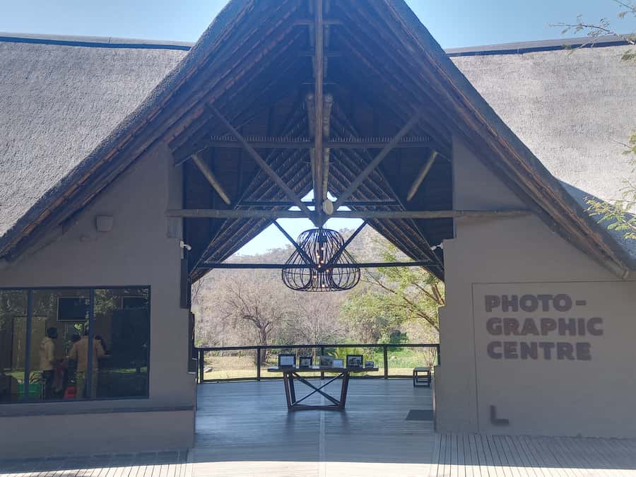 Lion park - Key points to know before booking