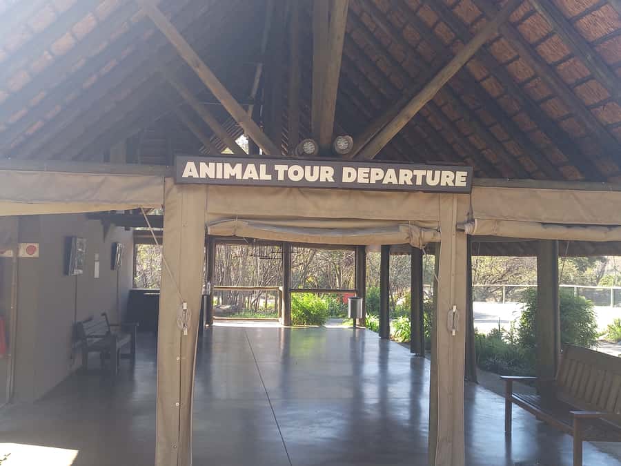 Lion park - A wildlife day built around a 1,000-hectare reserve