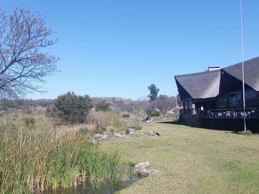 Lion park - Should you book the Lion Park experience?