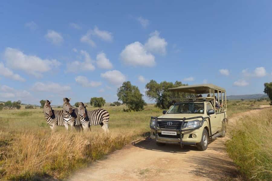 Lion Park Tour in Open Safari Vehicle - Leaving the City for North West