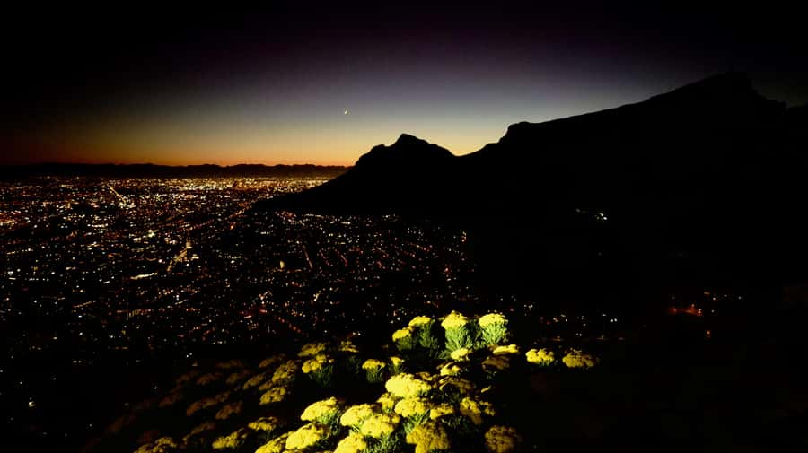 Lion's Head Sunrise or Sunset Hike + Hotel Pick-Up - The descent takes about an hour