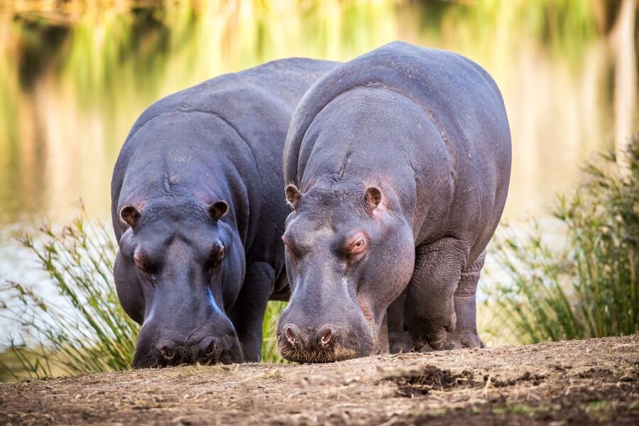 Little Brak River: Botlierskop Guided Game Drive - Meeting your guide at Little Brak River
