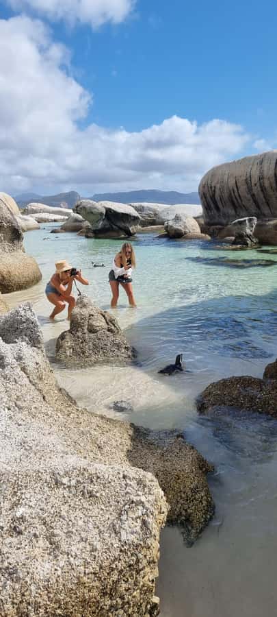 Luxury Cape of Good Hope & Penguin Tour - Chapman’s Peak turns the drive into an attraction