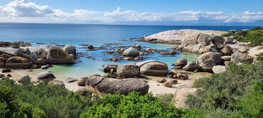 Luxury Cape of Good Hope & Penguin Tour - Simon’s Town gives you time for lunch