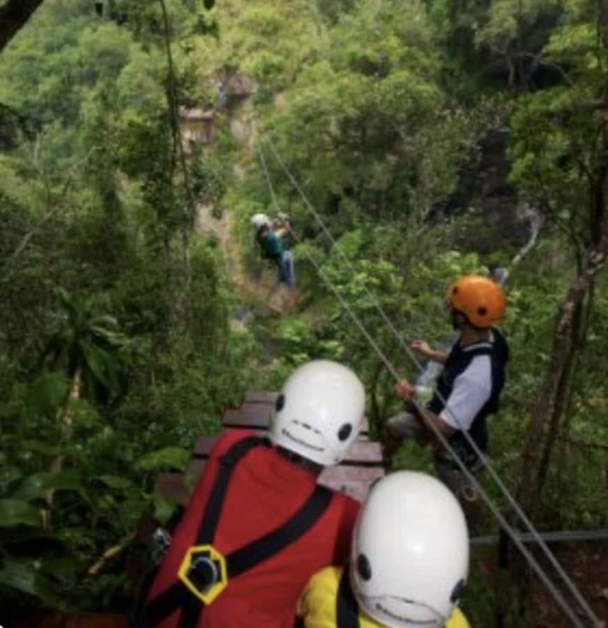 Magoebaskloof Adventures: 2H Canopy Tour - Should you book the Magoebaskloof Canopy Tour?