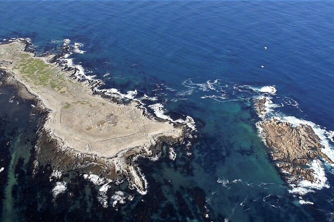 Marine Big 5 Safari with transport from Hermanus - Searching for whales around Dyer Island