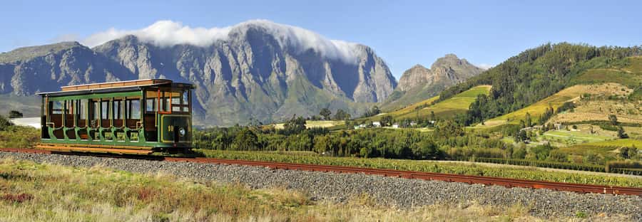 Marine Eco Cruise and Half-Day Wine Route with Tastings - The Franschhoek Tram question