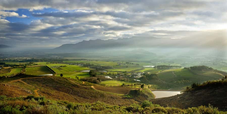 Marine Eco Cruise and Half-Day Wine Route with Tastings - How the six hours feel