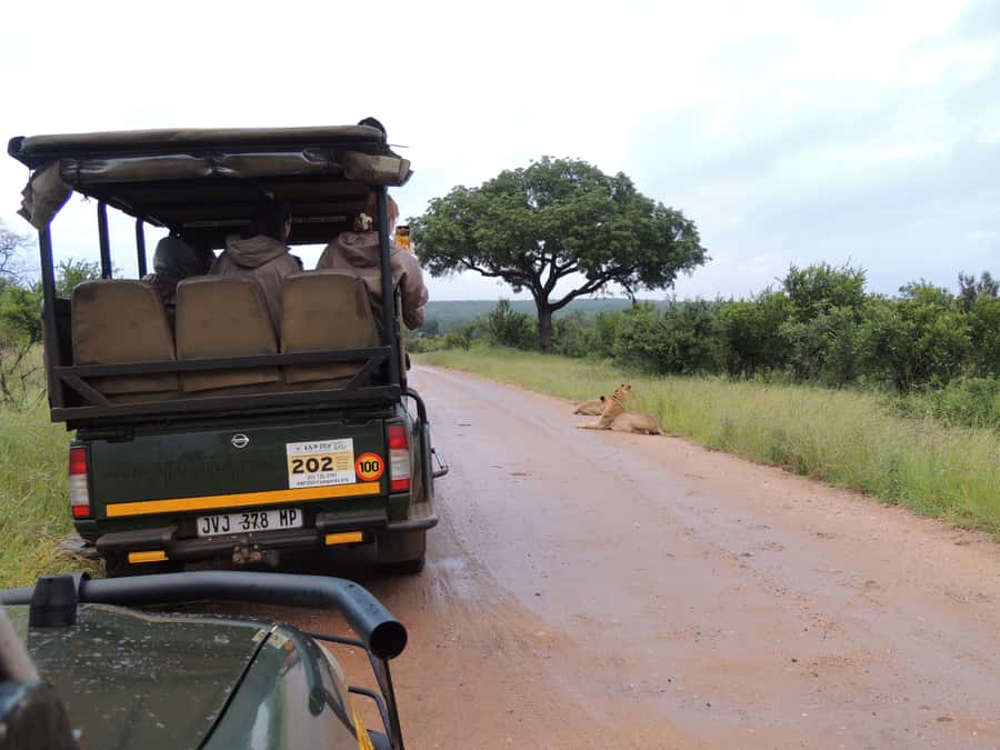 Marloth Park: Kruger National Park Safari Game Drives - The guides make the difference
