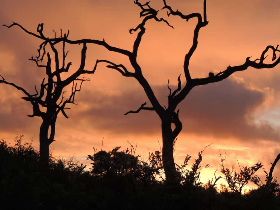 Marloth Park: Kruger National Park Safari Game Drives - Crocodile Bridge and the first animal sightings