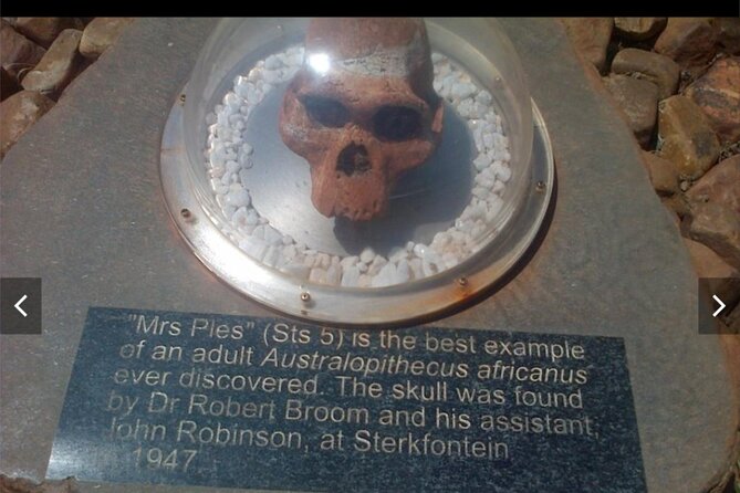 Maropeng Cradle of Humankind Museum &Sterkfontein Cave Experience - Timing, group size, and what to bring
