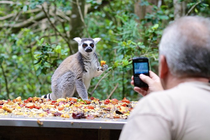 Monkeyland Guided Tour in Plettenberg Bay - A sanctuary visit with more purpose than a quick animal stop