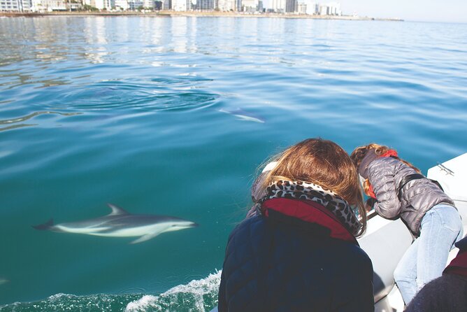 Ocean Wildlife Encounter in Cape Town - Setting out from Oceana Power Boat Club