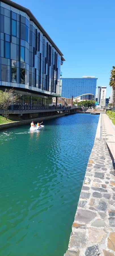 Pedal Boat Ride V&A Waterfront - Cape Town - Key points to know before you pedal