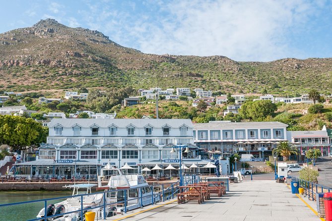 Penguin Encounter Boulders Beach Half Tour Day from Cape Town - Why the half-day format works