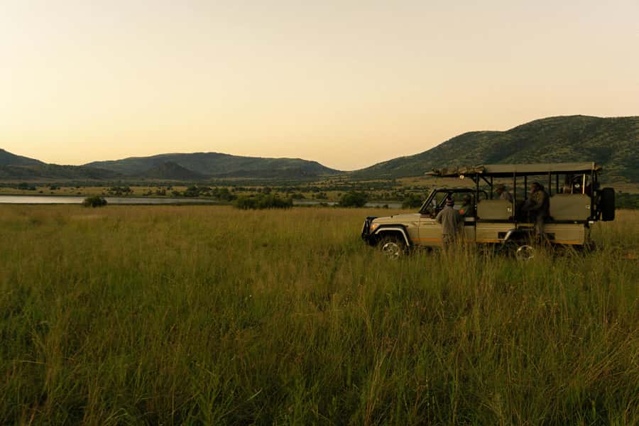 Pilanesberg: Full-Day Safari Adventure from Johannesburg - Key points to know