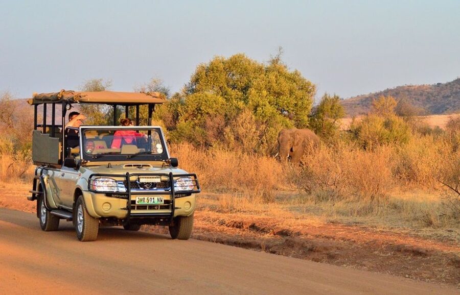Pilanesberg Full-Day Shared Safari with Sun City Visit - A three-hour open 4x4 drive in Pilanesberg