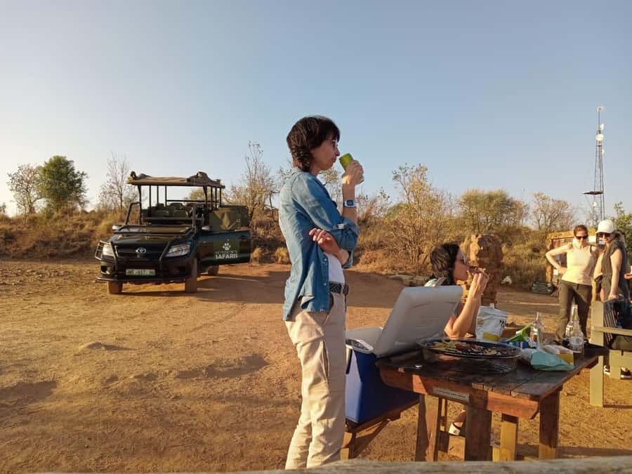 Pilanesberg Morning or Afternoon 3 Hour Game Drive - Searching for the Big Five