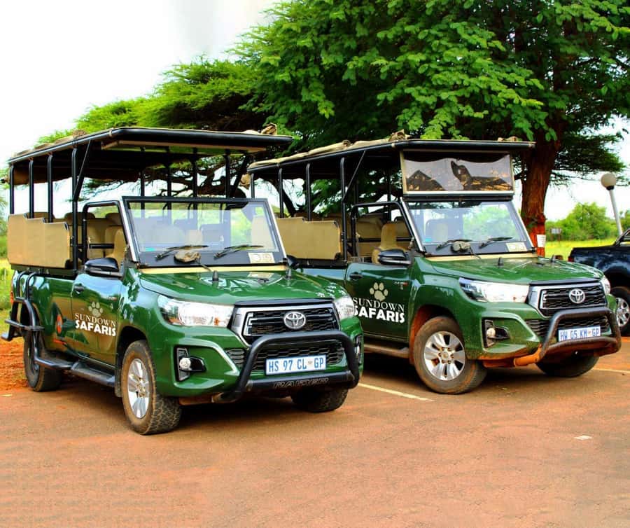 Pilanesberg Morning or Afternoon 3 Hour Game Drive - What the $54 price really covers