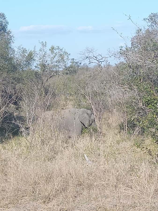 Pilanesberg National Park - Lunch Inside the Reserve