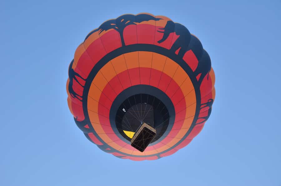 Pilanesberg National Park/Sun City Hot Air Balloon Safari - Key points to know before booking
