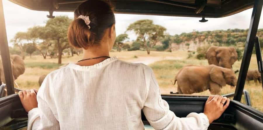 Pilanesberg: Two-Day Camping Adventure from Johannesburg - Key points to know before booking