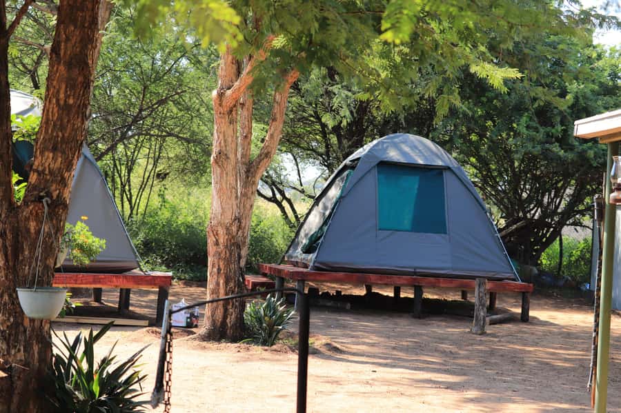 Pilanesberg: Two-Day Camping Adventure from Johannesburg - The day-two choice: minivan safari or more camp time