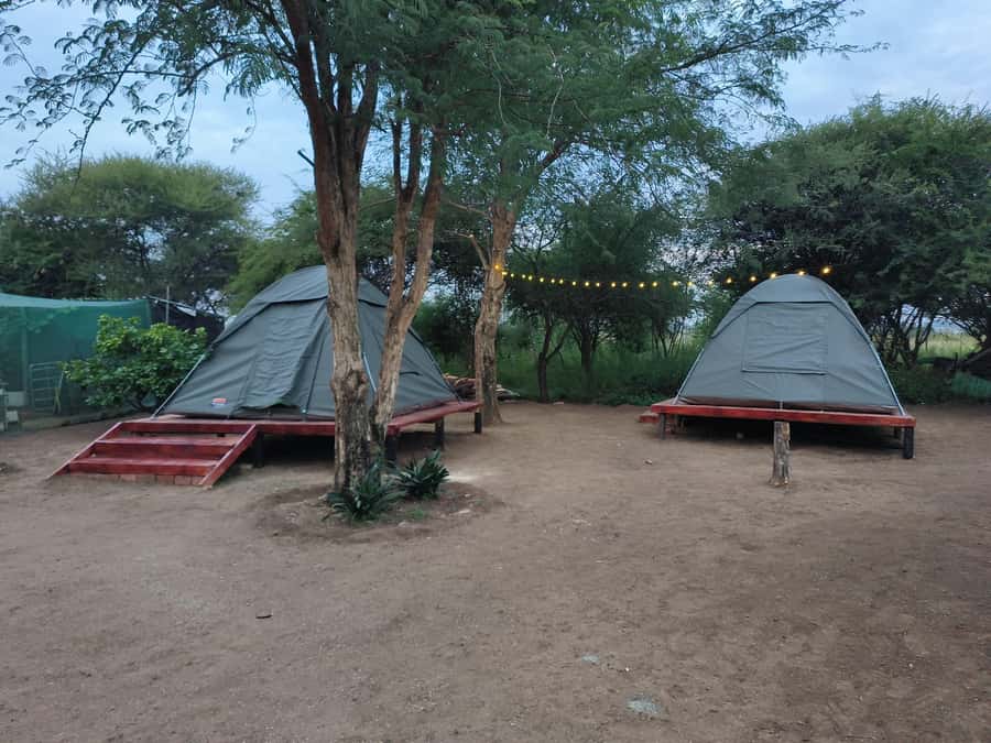 Pilanesberg: Two-Day Camping Adventure from Johannesburg - Returning to Johannesburg by early evening