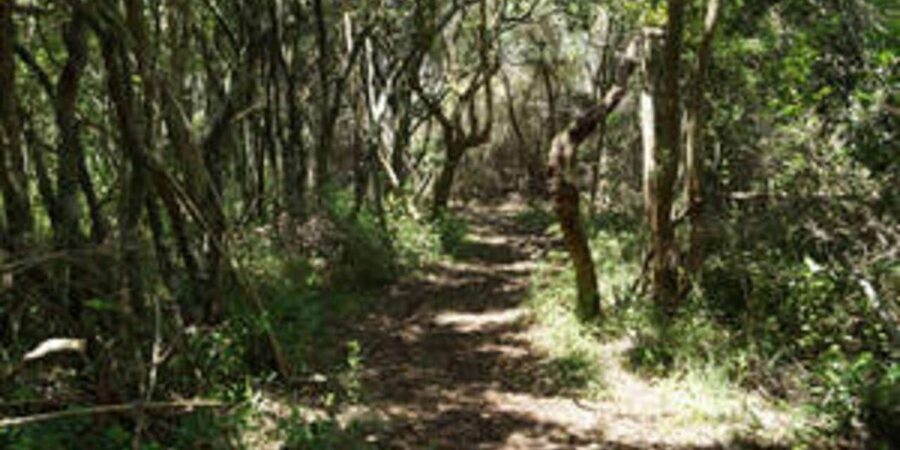 Plettenberg: 2-Hour Zipline Tour - How long is the two-hour tour?