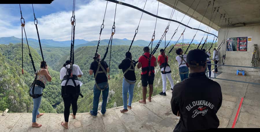 PLETTENBERG BAY: Bloukrans Bridge Skywalk Tour and HangOut - Starting at Bloukrans Bridge