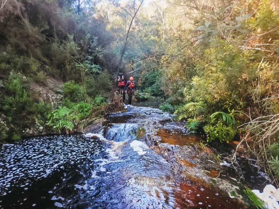 Plettenberg Bay: Canyoning Trip - The first river jump leads into a real canyon journey