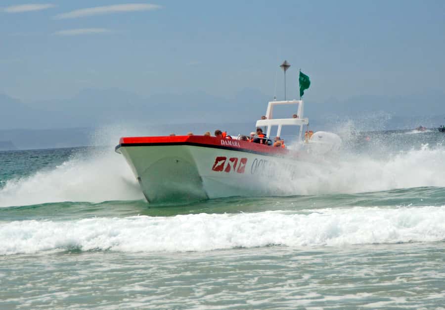 Plettenberg Bay: Dolphin and Marine Boat Tour - Keurbooms Beach and Arch Rock