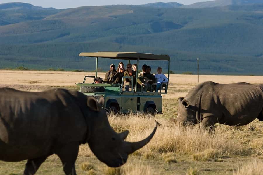 Plettenberg Bay Game Reserve: 2-Hour Game Drive - Key points before you book