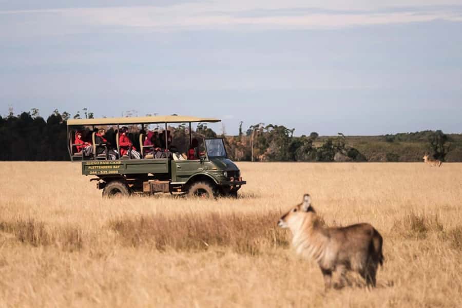 Plettenberg Bay Game Reserve: 2-Hour Game Drive - Two hours among the reserve’s wildlife
