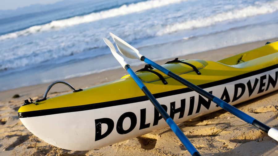 Plettenberg Bay: Guided Sea Kayak Tour - Starting at Central Beach