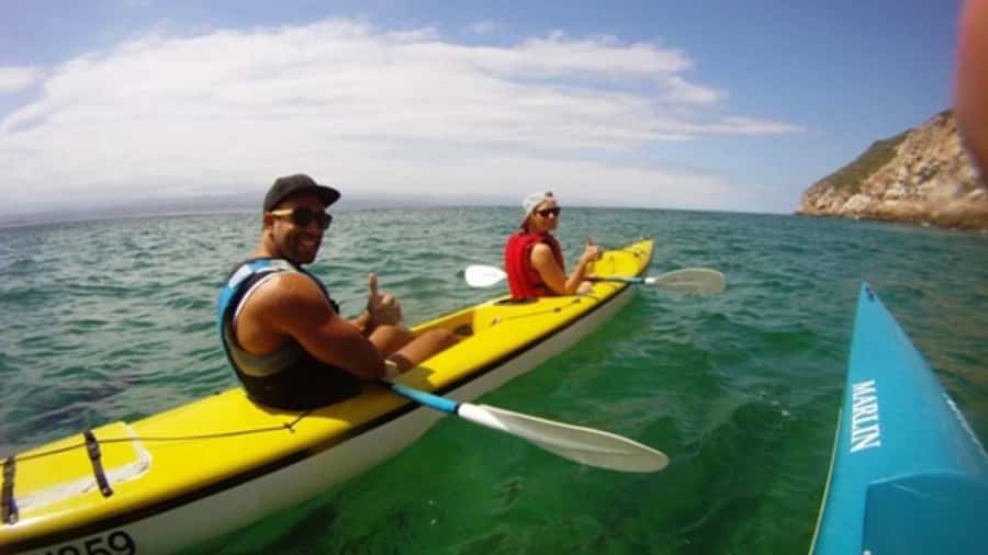 Plettenberg Bay: Guided Sea Kayak Tour - What the wildlife sightings are really worth