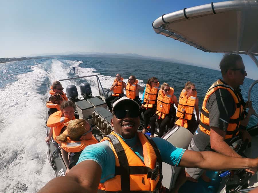 Plettenberg Bay: Seal Colony Viewing Excursion - Meeting Offshore Adventures on Hopwood Street