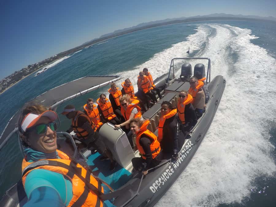 Plettenberg Bay: Seal Colony Viewing Excursion - What the guides add to the trip