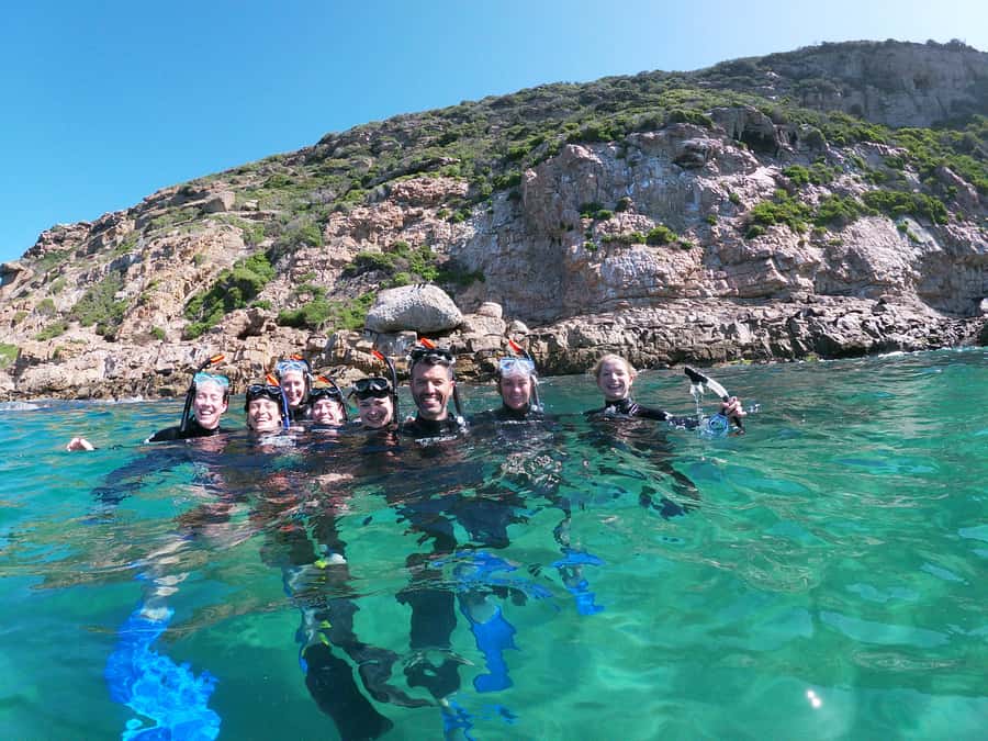 Plettenberg Bay: Swim with Seals - Meeting the Robberg Express at Central Beach