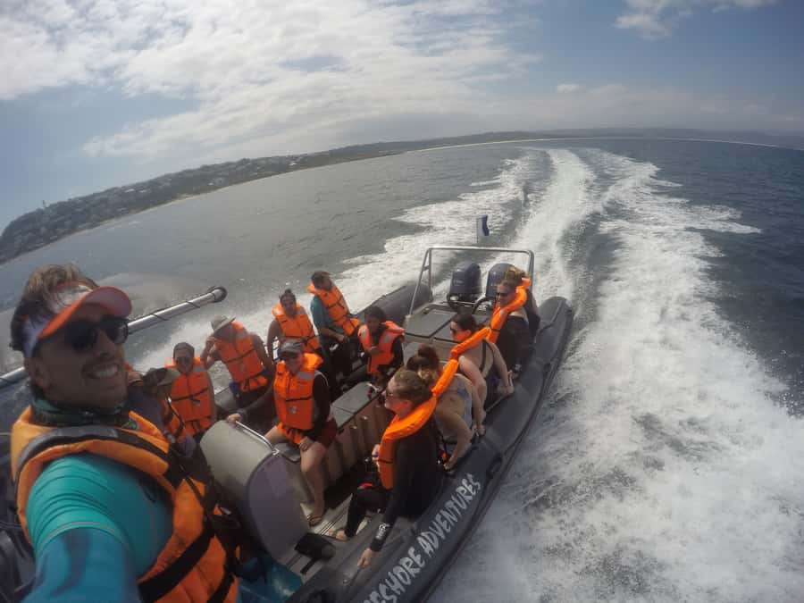 Plettenberg Bay: Swim with Seals - Guides who keep the experience calm