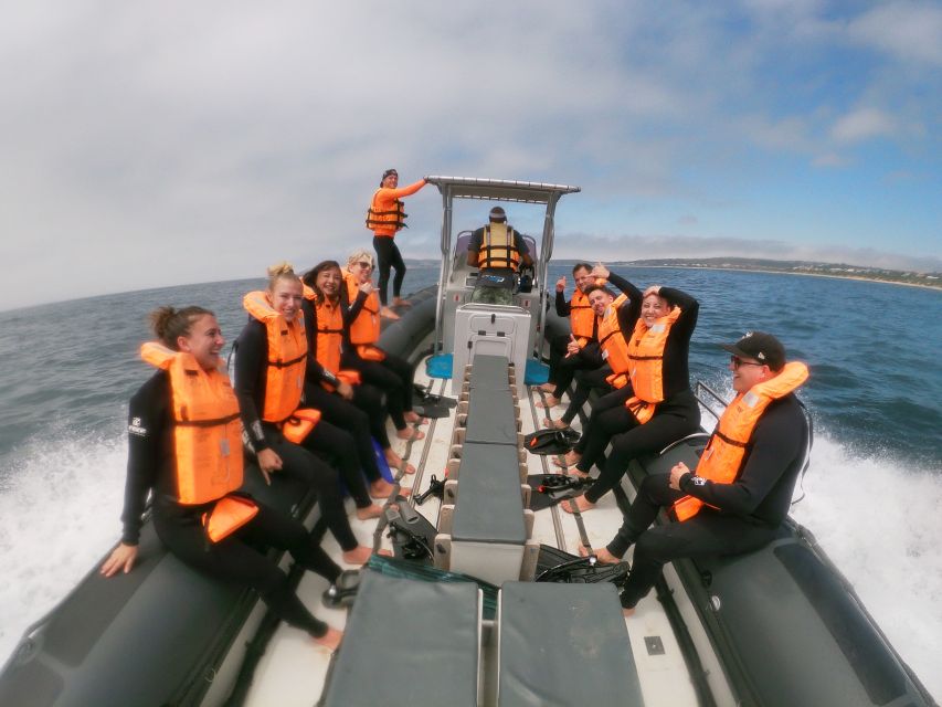 Plettenberg Bay: Swim with Seals - Equipment, photos, and what you need to bring