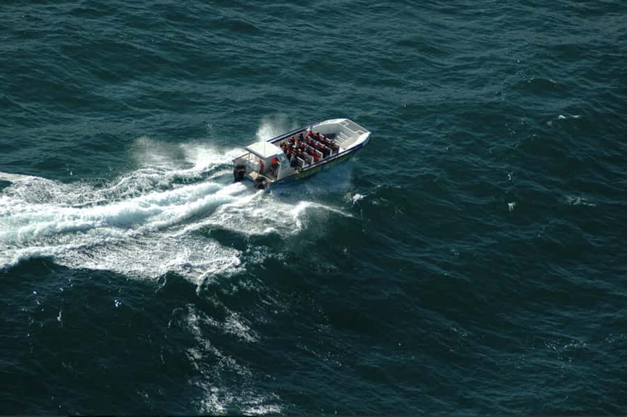 Plettenberg Bay: Whale Watching Boat Cruise - The beach launch sets the tone