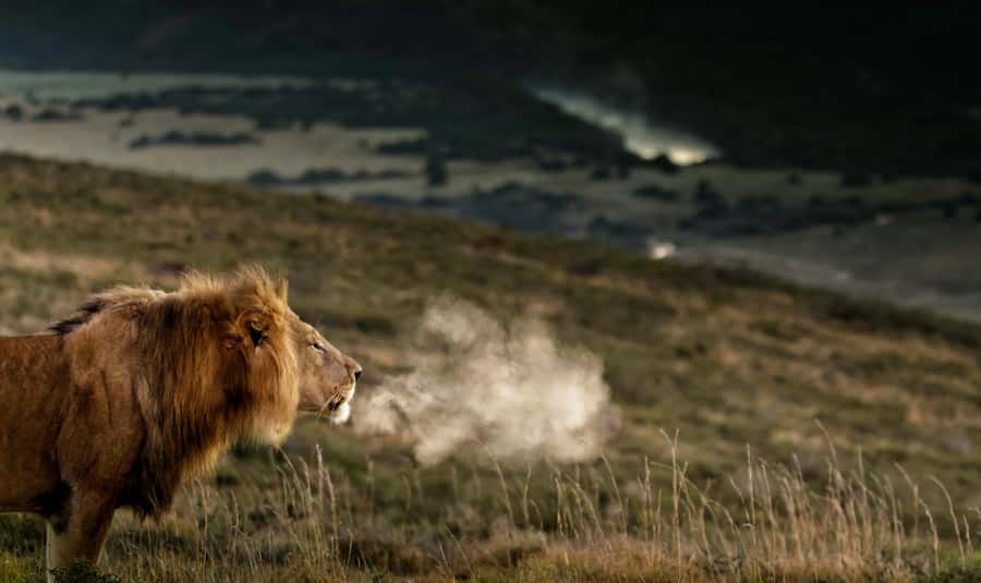 Port Elizabeth: 2-Day Addo Elephant Park Safari - Sundays River, dunes, and a change of pace